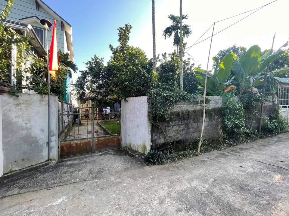 Đất thổ cư 100m² tại Thị trấn Mãn Đức, Tân Lạc, 309m² - Giá chỉ 1 tỷ!