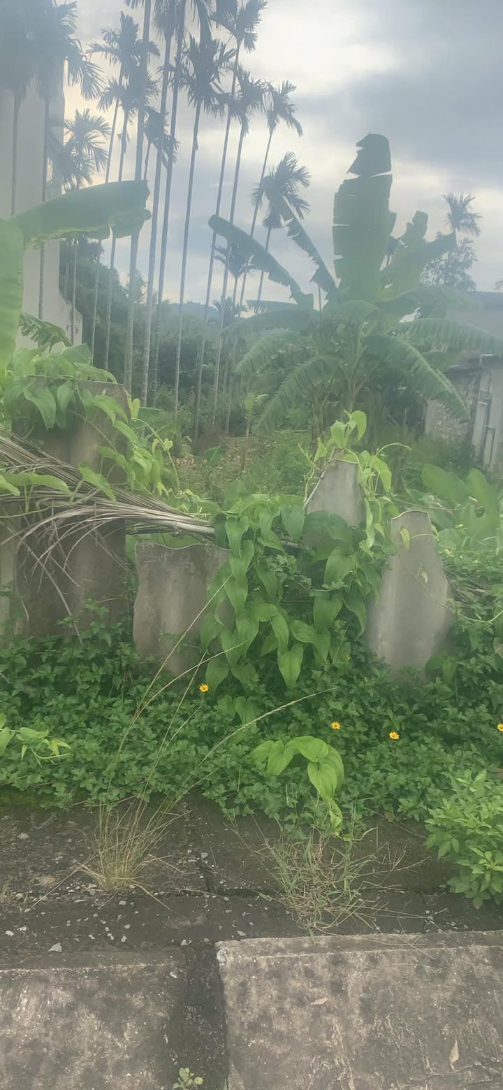 Đất nền mặt đường trục chính Khu 10, Thanh Sơn, Uông Bí 162m² - Cơ hội đầu tư sinh lời!