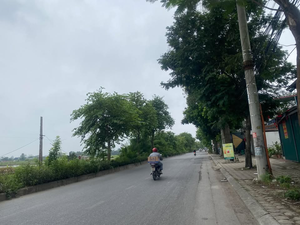 Đất nền Ngọc Hồi, Thanh Trì 31m² - Đầu tư sinh lời ngay!