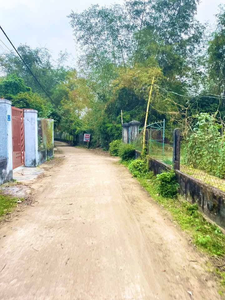 Đất nền đường Nguyễn Hoàng, Hà Lam 6m² giá 600 triệu - Đầu tư sinh lời ngay!