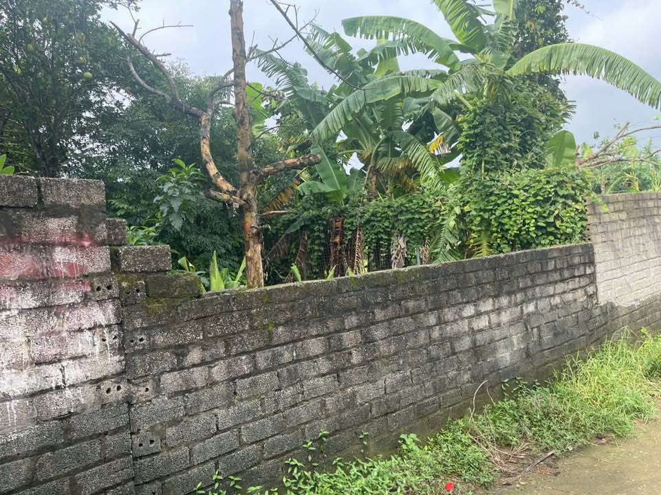 Đất thổ cư Sơn Đông 128m² giá 1,5 tỷ - Hàng hiếm dễ tìm!