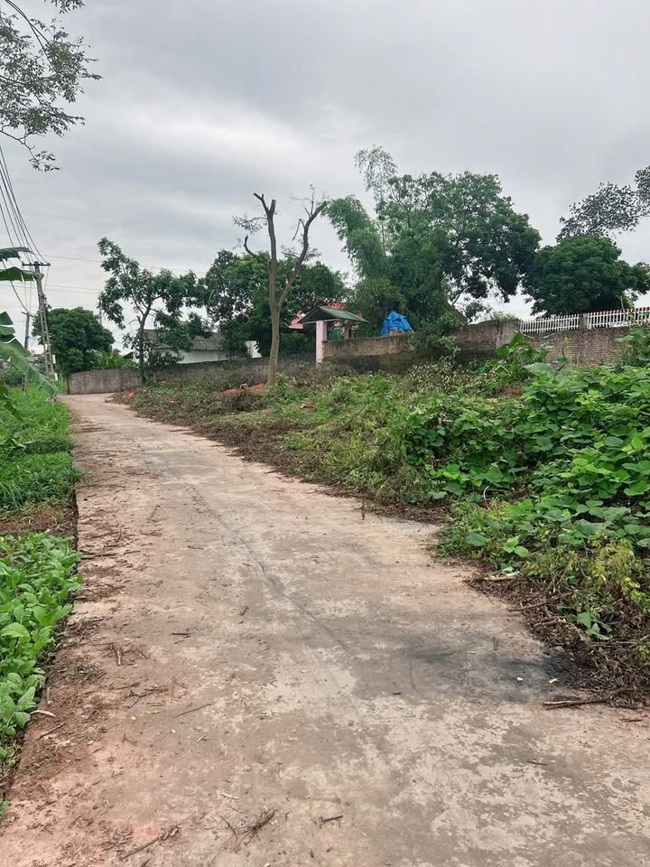 Đất nền Ngọc Thiện, Tân Yên 100m² giá chỉ 800 triệu - Đầu tư sinh lời ngay!