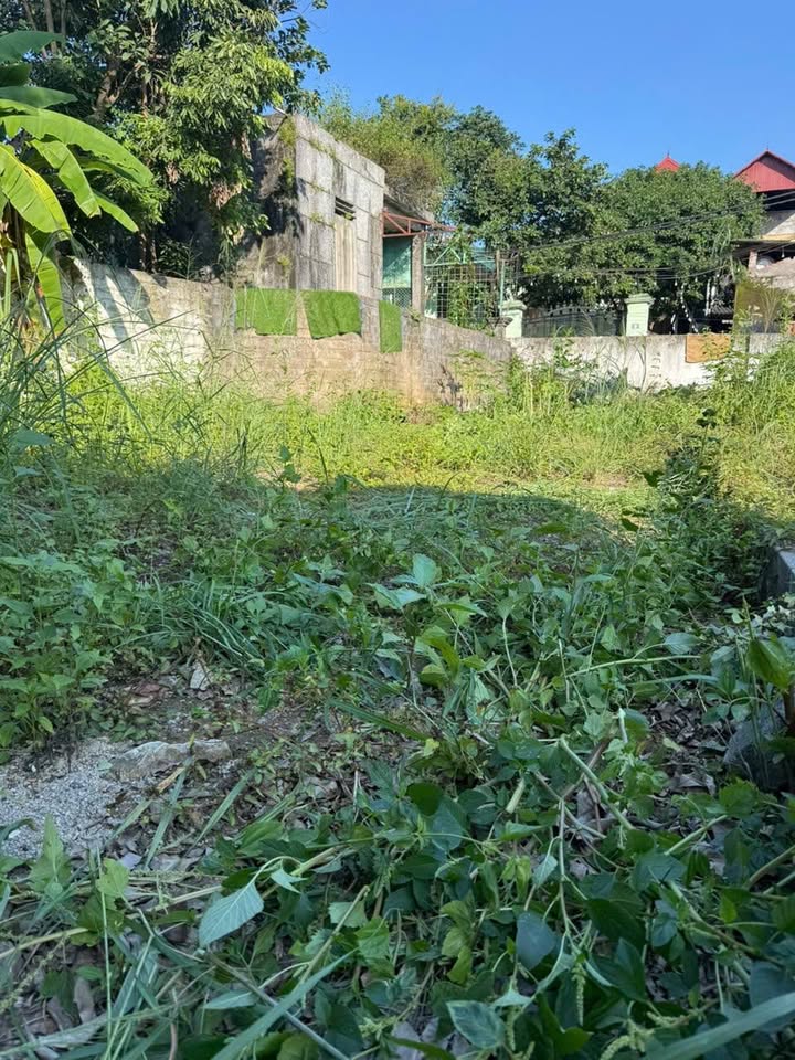 Đất nền phường Hòa Bình 115m² giá 1 tỷ - Cơ hội đầu tư hấp dẫn!