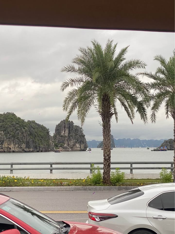 Shophouse A1 Monbay Hạ Long 121m² giá 30 tỷ - Thiết kế sang trọng, cho thuê tốt!