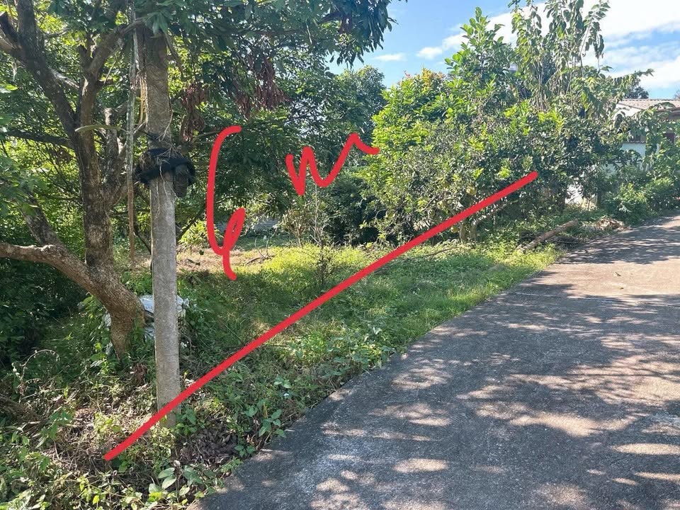 Đất thổ cư 138m² tại xã Kép, Lạng Giang - Giá tốt cho nhà đầu tư!