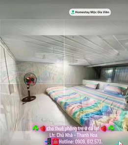 Phòng trọ cho thuê tại Đà Lạt - Hẻm 11-13, đường 3 tháng 4