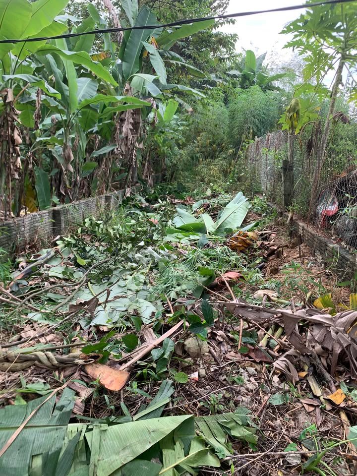 Đất mặt đường Thanh Niên Kim Phú 120m² giá 1 tỷ - Cơ hội đầu tư sinh lời!