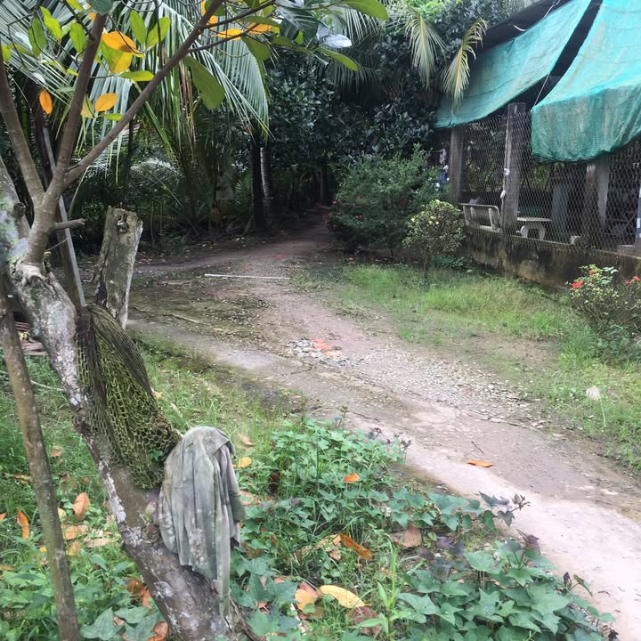 Đất nền ấp Thanh Sơn 250m² giá 450 triệu - Đầu tư sinh lời ngay!