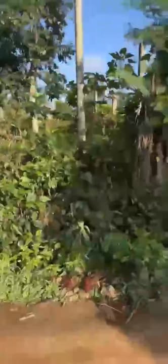 Đất nền Phú Xuân 450m² giá 1.5 tỷ - Mặt tiền trường học cấp 2!