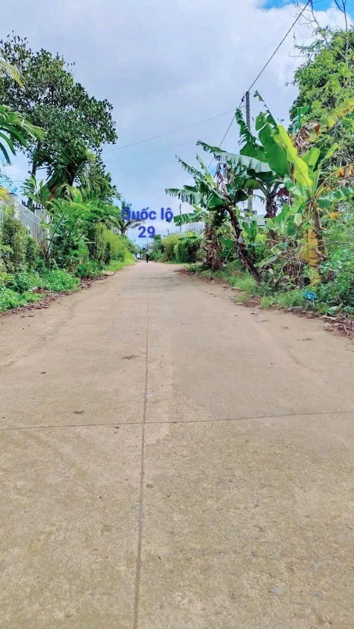 Đất thổ cư xã Ea Drông Buôn Hồ 200m² giá chỉ 345 triệu - Cơ hội đầu tư tuyệt vời!