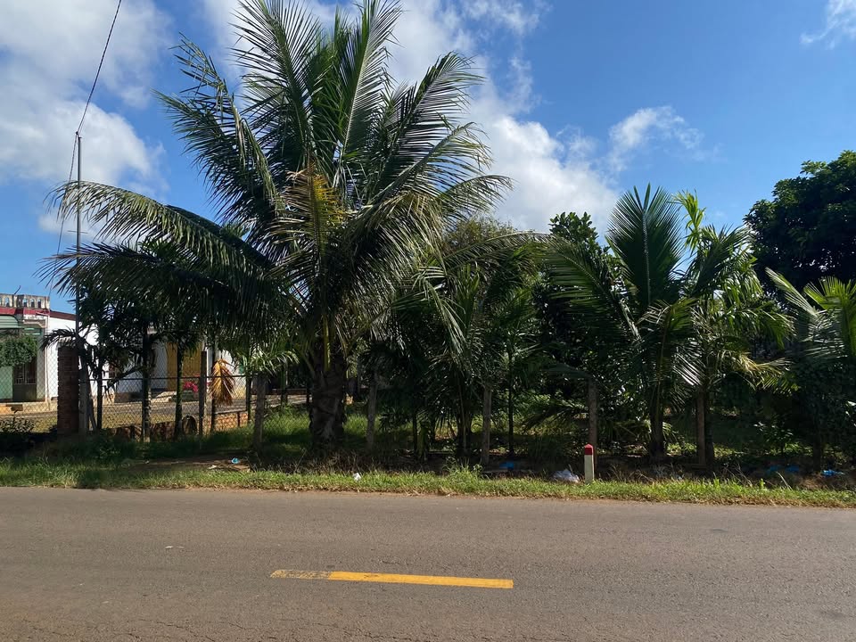 Đất nền Quốc lộ 29 Krông Năng 480m² giá chỉ 320 triệu - Cơ hội đầu tư tuyệt vời!