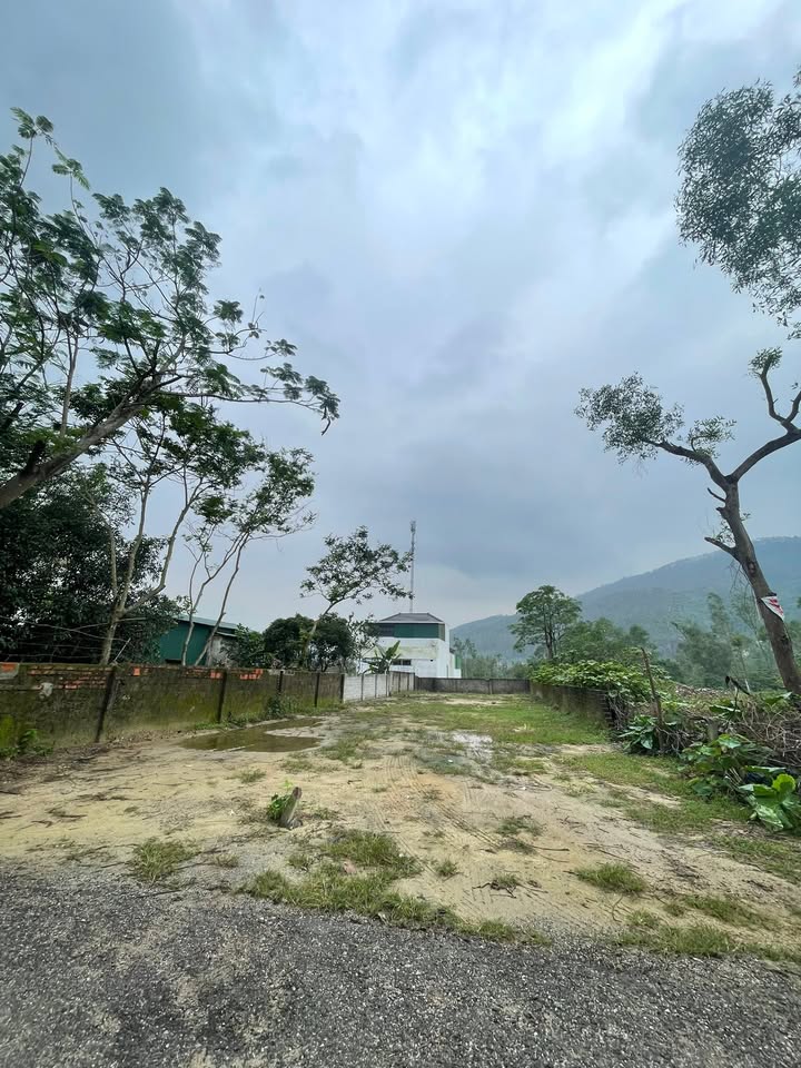 Đất nền Bắc Hồng Lĩnh 289.8m² - Đường rộng ô tô tránh nhau, sẵn sàng đầu tư!