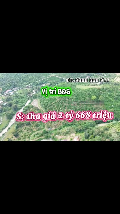 Lô Rẫy Cà Phê Xen Tiêu 1ha tại Xã Nam Đà - Đầu Tư Tiềm Năng Chỉ 2.668 Tỷ!