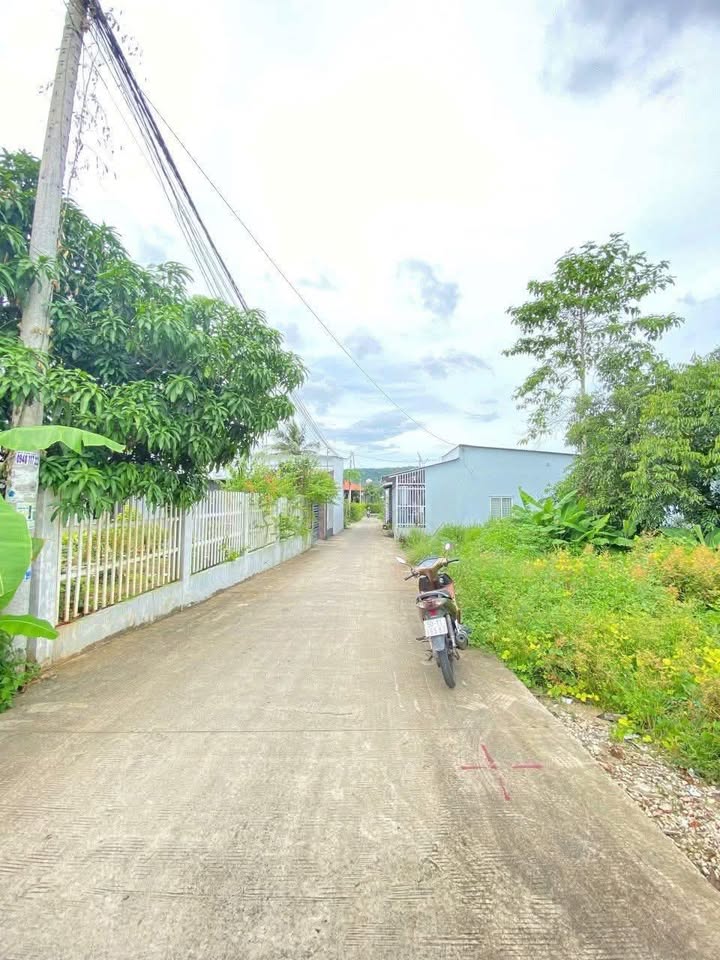 Đất nền Phú Quốc 120m² giá 800 triệu - Hạ tầng ổn định, đường bê tông 5m!