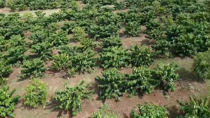 Đất nền 1ha thôn 7 Ea Kpam, Cư M'gar - Giá chỉ 828 triệu, đầu tư sinh lời!