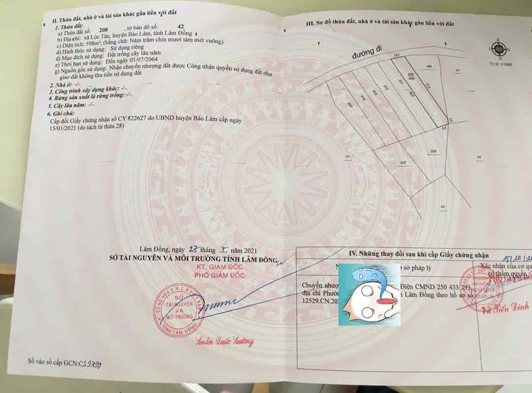 Đất CLN Hồ Ngọc 598m² giá 3 triệu/m² - Tiềm năng sinh lời cao!