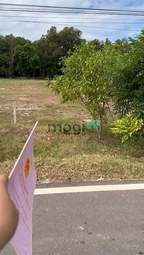 Bán Đất Mặt Tiền Đường ĐT795, Xã Tân Thành, 199,7m² - Vị Trí Đẹp, Tiềm Năng Cao!