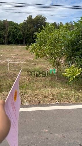 Đất Mặt Tiền Đường ĐT795, Tân Thành, Tân Châu 199,7m² giá 590 triệu - Cơ hội đầu tư sinh lời!