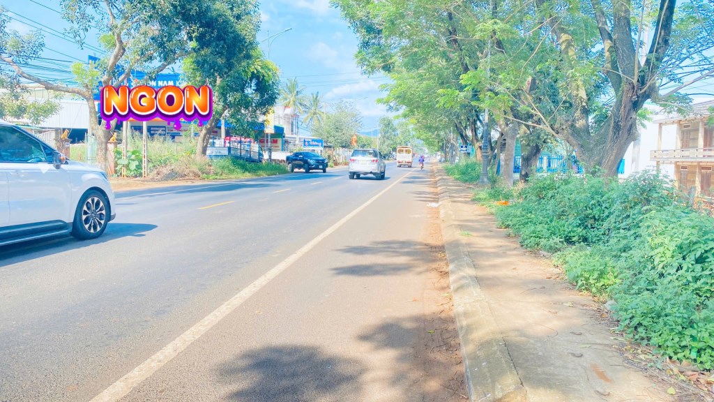 Đất mặt tiền Quốc lộ 20, Đức Trọng, Lâm Đồng 5000m² - Cơ hội đầu tư hiếm có!