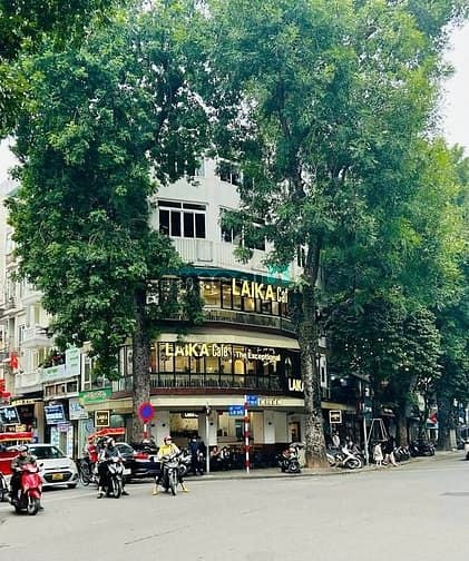Cho thuê lô góc Phạm Tuấn Tài 90m² x 4 tầng - Mặt tiền 18m, kinh doanh cực tốt!