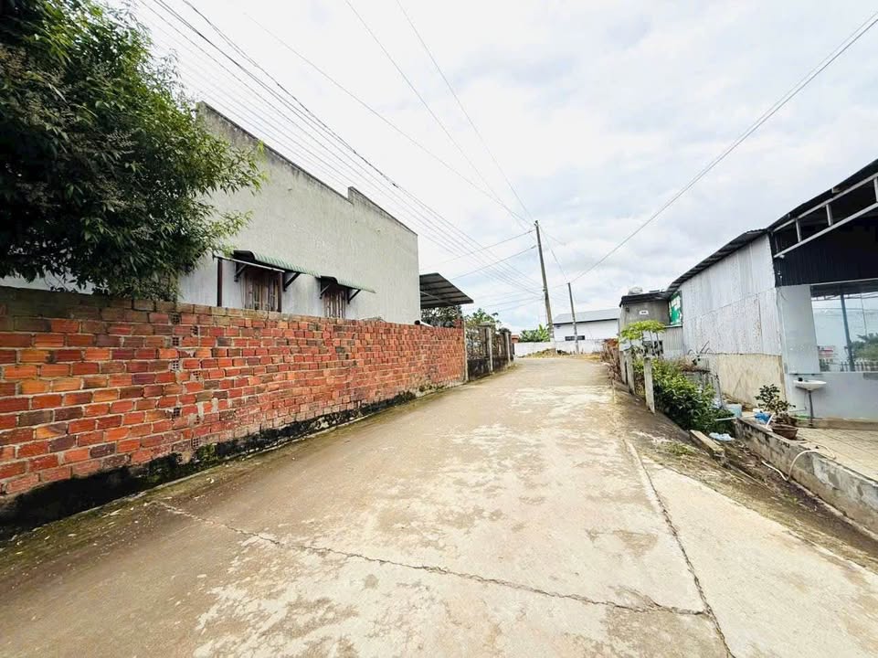 Mặt bằng kinh doanh Đường Trần Phú Thạnh Mỹ 525m² - Tiềm năng sinh lời cao!