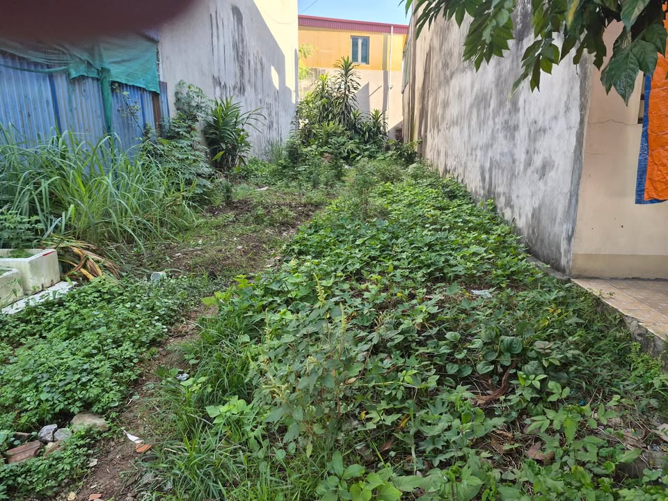 Đất thổ cư mặt đường Quốc lộ 3, Tích Lương 95m² giá 2.45 tỷ - Cơ hội đầu tư lý tưởng!