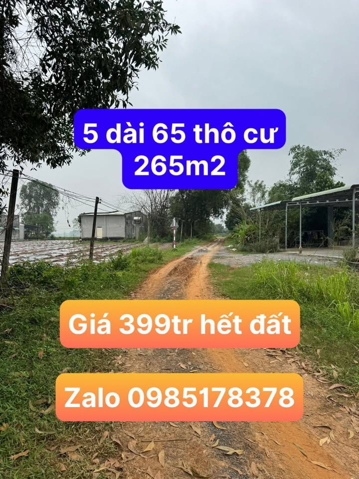 Lô đất 333m² tại Ấp Long Giao, Tây Ninh - Sổ hồng riêng, giá 390 triệu!