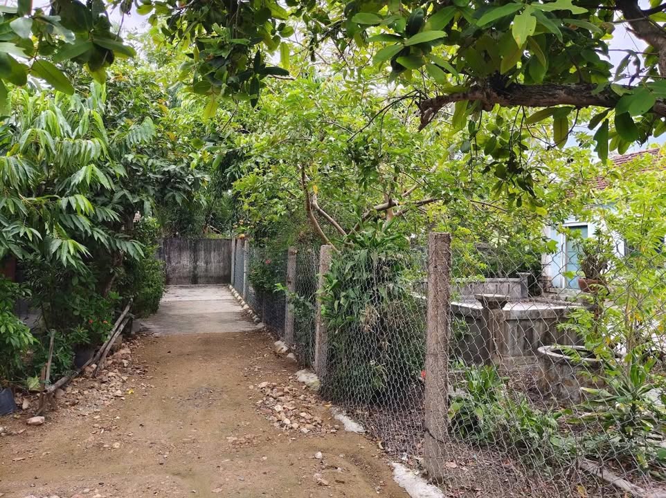 Đất nền Phú Hòa 2 chỉ 450 triệu - Sổ đỏ chính chủ, không cần chuyển đổi!