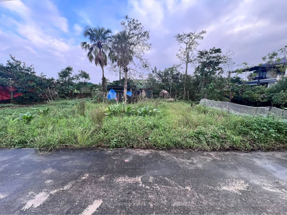 Đất thổ cư Thôn Thắng Hòa, Tân Lâm Hương, 120.9m² giá chỉ 1 tỷ - Tiềm năng đầu tư lớn!