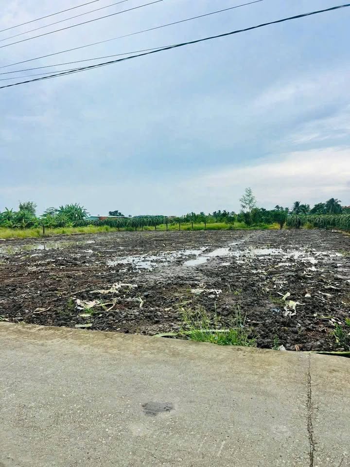 Đất nền đẹp tại xã Tầm Vu, Châu Thành, Long An 125m² giá 360 triệu - Cơ hội đầu tư tuyệt vời!