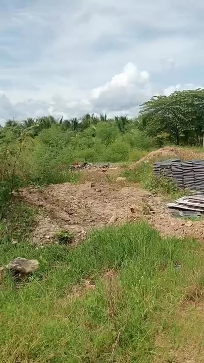 Đất nền Ninh Thọ 513m² giá 3.078 tỷ - Sổ đỏ chính chủ, đầu tư sinh lời!