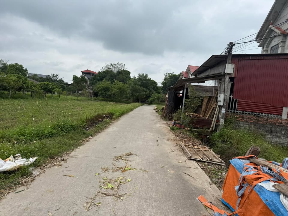 Đất đấu giá Hoàng Thanh Hiệp Hòa 85m² giá 830 triệu - Đường thông đẹp, không lỗi