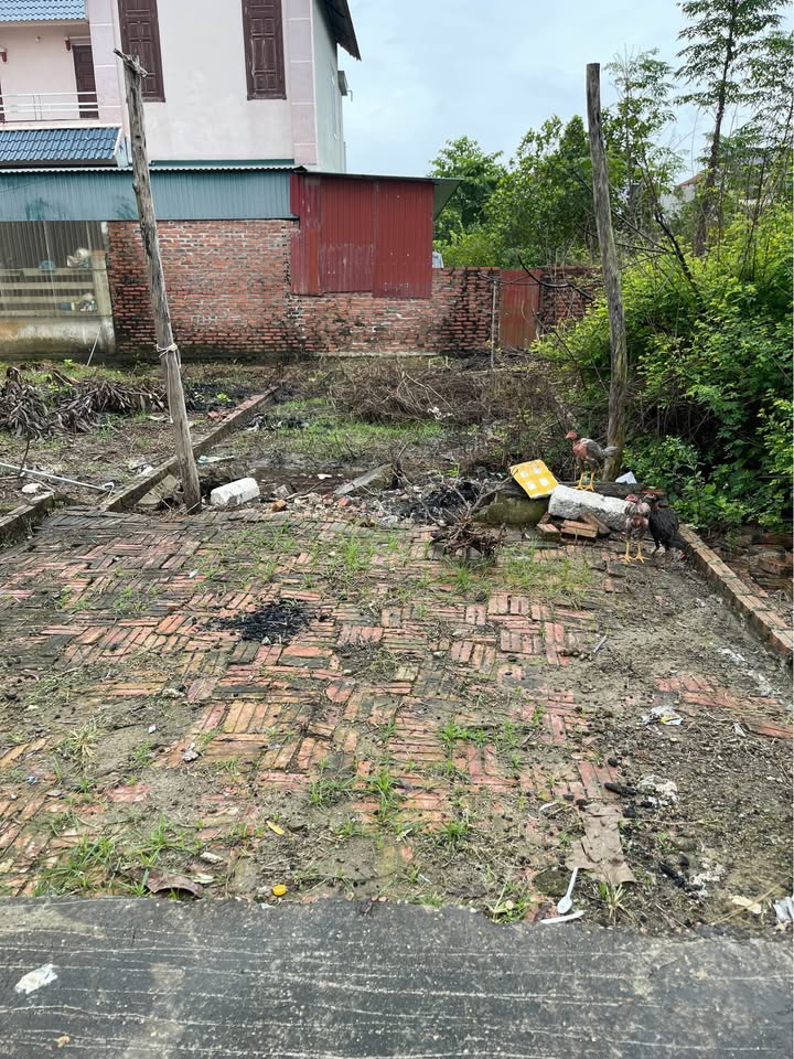 Đất nền Thanh Lâm Mê Linh 57m² giá 2 tỷ - Ô tô vào tận đất, sổ đỏ cầm tay!