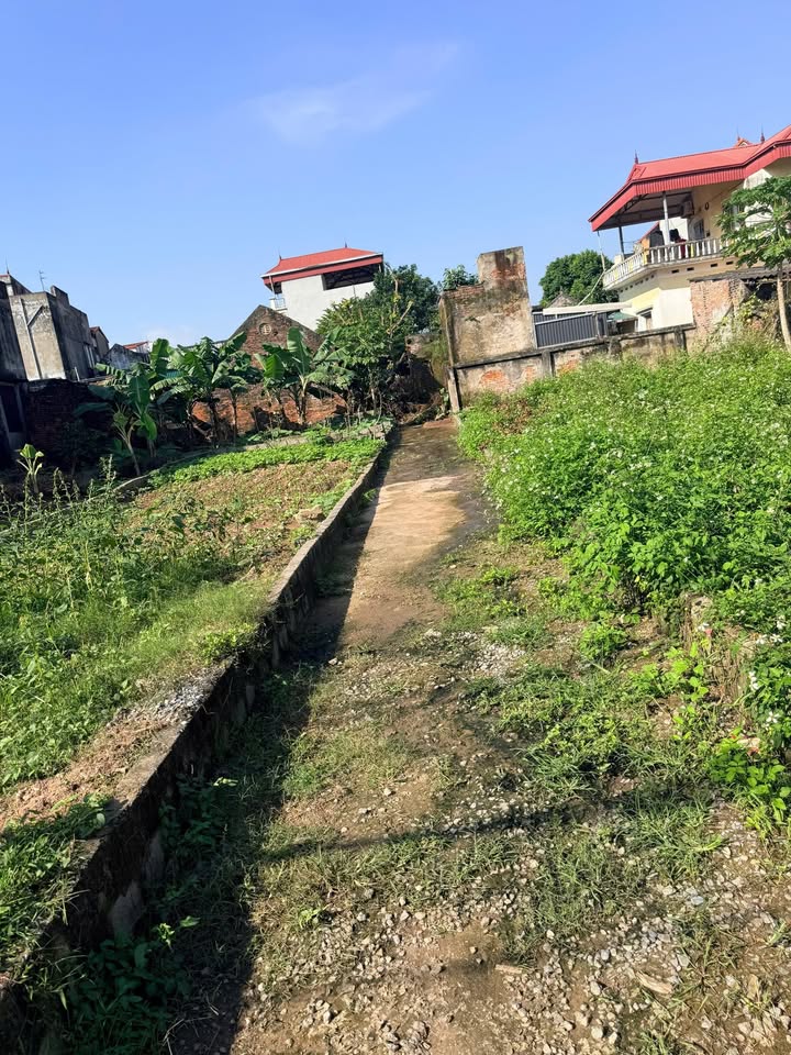 Đất nền Chương Dương 40m² giá 2 tỷ - Vị trí đắc địa, cơ hội đầu tư sinh lời!