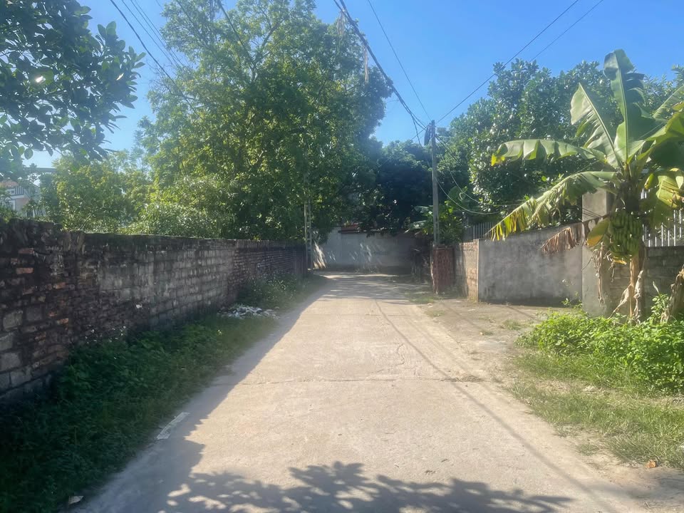 Đất nền Ngọc Sơn Hiệp Hòa 200m² giá 1.1 tỷ - Cơ hội đầu tư hấp dẫn!