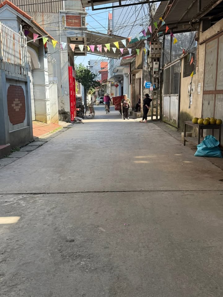 Đất thổ cư thôn Nguyên Hanh, Văn Tự, 64m² giá 1.75 tỷ - Cách chợ 100m!