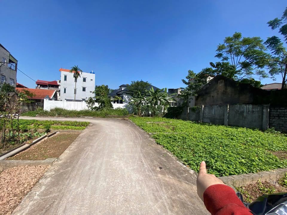 Đất đẹp Quất Lâm, Thường Tín 43,3m² giá 2,32 tỷ - Đầu tư sinh lời tốt!