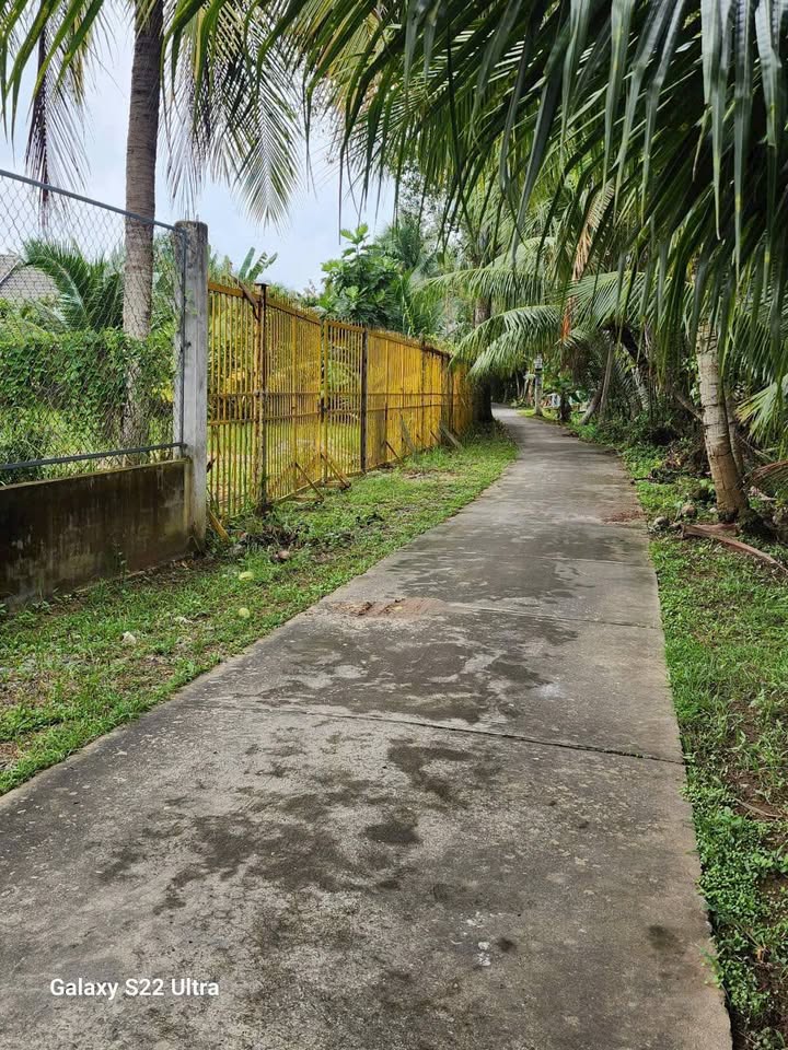 Đất vườn dừa Phú Đức 3000m² giá 1.2 tỷ - Cơ hội đầu tư sinh lời!