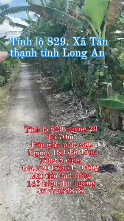 Đất mặt tiền Tỉnh lộ 829, Thạnh Hóa, Tân Thạnh, Long An - Diện tích 12.6ha, giá 9.08 tỷ!