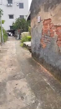 Đất nền Đại Áng Thanh Trì 90m² giá thỏa thuận - Mặt tiền đẹp, gần chợ và hồ điều hòa!