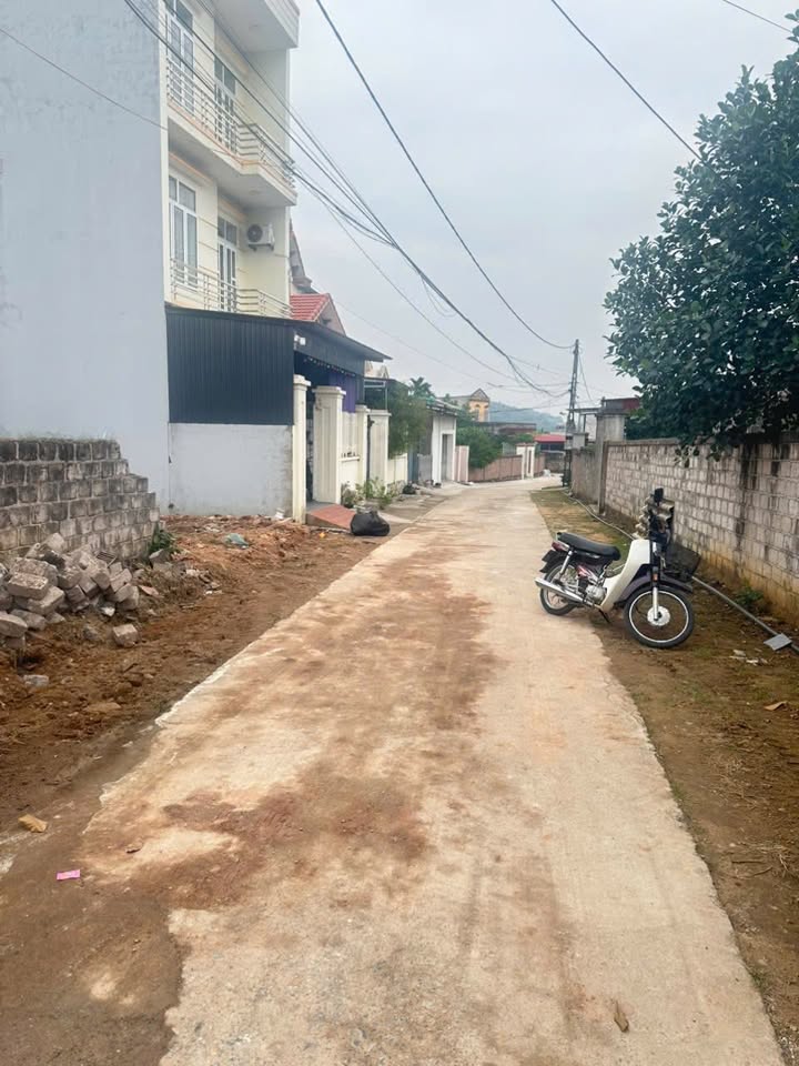 Đất nền khu phố 03, phường Chí Linh, Hải Dương - Diện tích 180m², giá thỏa thuận hấp dẫn!