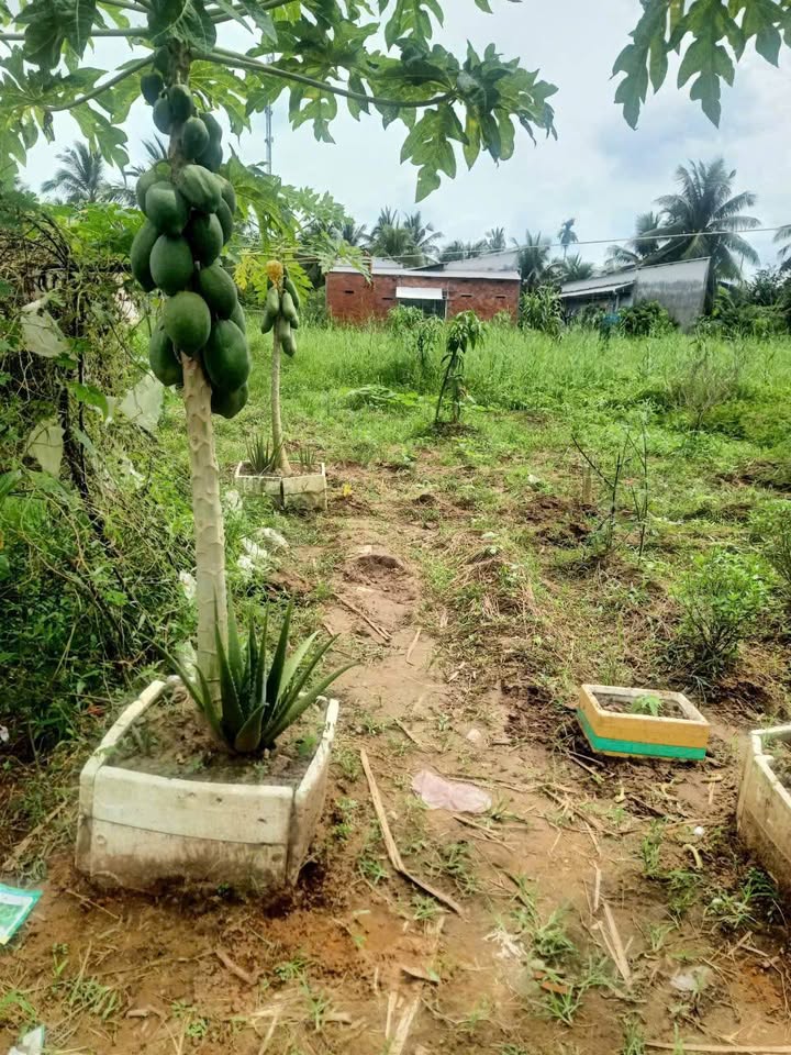 Đất nền Phú An Hòa, Châu Thành, 500m² giá 950 triệu - Cơ hội đầu tư hấp dẫn!