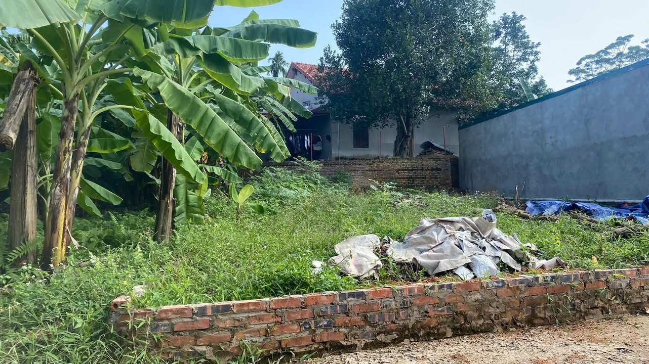 Đất nền Vân Phú Việt Trì 98m² giá 1.59 tỷ - Khu dân cư sầm uất!