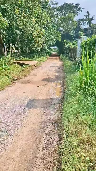 Nhà cấp 4 mới xây KP. Lộc Chánh, Trảng Bàng 1143m² giá chỉ 1.6 tỷ - Cơ hội đầu tư tuyệt vời!