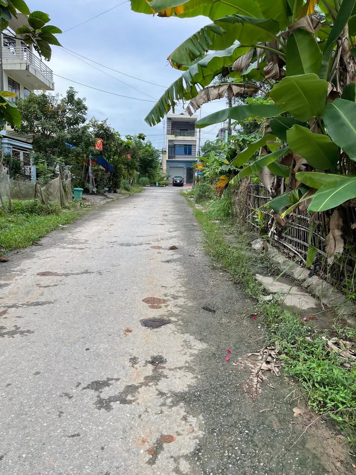 Đất nền Khu Tái Định Cư Tân Phát, Minh Xuân, Tuyên Quang 120m² giá 3 tỷ - Đầu tư sinh lời lý tưởng!