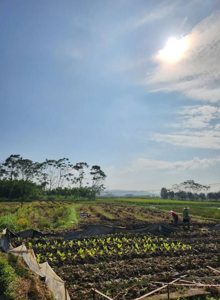 Đất nền phường Minh Xuân 135m² giá 2 tỷ - Sổ đỏ chính chủ, vị trí đẹp!