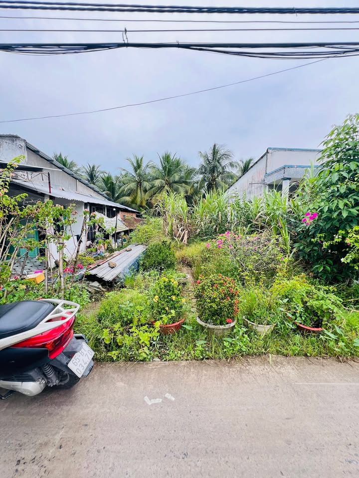 Đất nền Nguyễn Thanh Sơn, Long Tuyền, 155.5m² - Hướng Đông Nam, Giá 1.699 tỷ