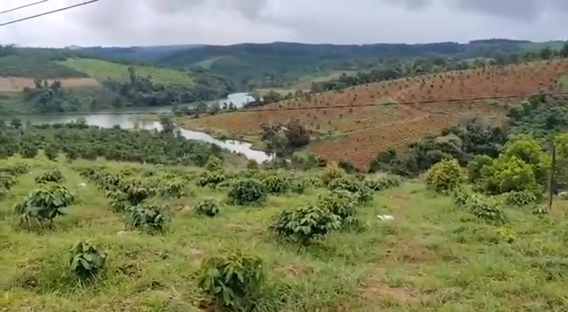 Đất giao xã Quảng Trực Tuy Đức 36.000m² giá chỉ 930 triệu - Cơ hội đầu tư hấp dẫn!