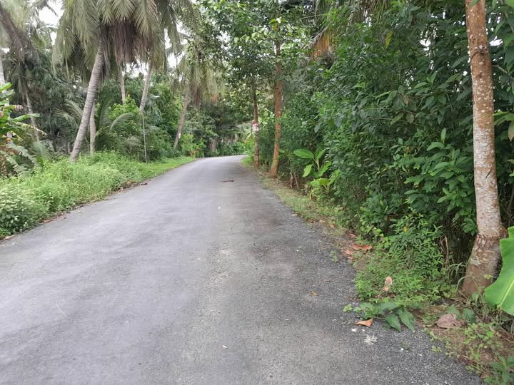 Đất nền 2 mặt tiền 280m² tại Tân Hòa - Giá 400 triệu, thương lượng chính chủ!