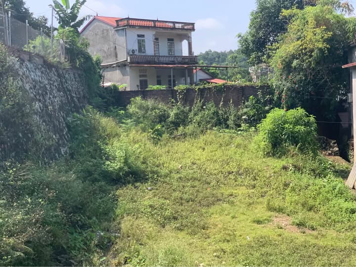 Đất mặt đường QL3, Hưng Đạo, 700m² - Cơ hội đầu tư tuyệt vời!